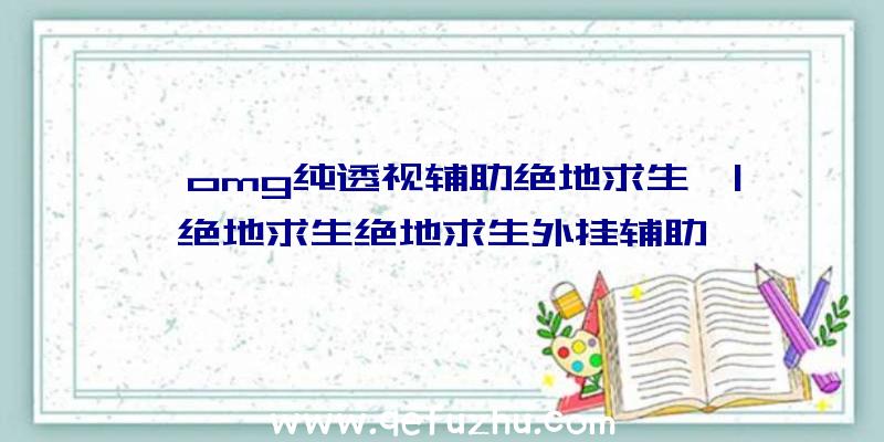 「omg纯透视辅助绝地求生」|绝地求生绝地求生外挂辅助